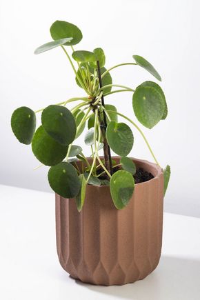 Vaso-cimento-linhas-terracota
