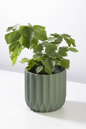 Vaso-cimento-linhas-verde