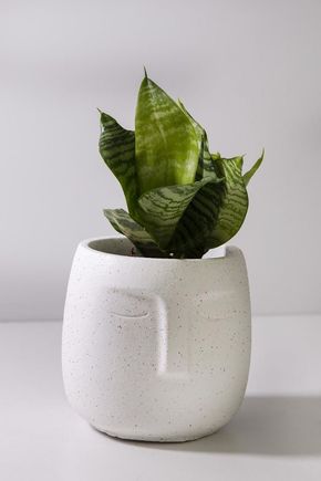 Vaso-cachepot-rosto-branco