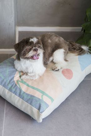 Cama-pet-iba