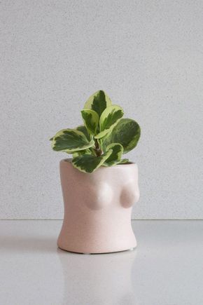 Vaso-busto-branco