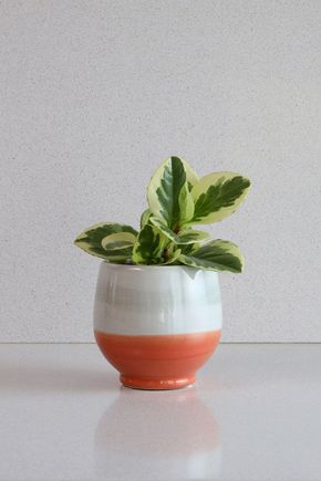Vaso-cachepot-laranja-e-cinza