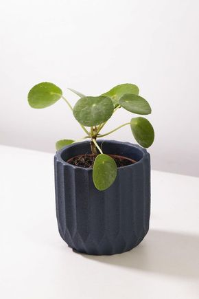 Vaso-cimento-linhas-azul