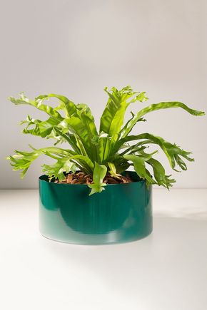 Vaso-cachepot-aluminio-verde-g