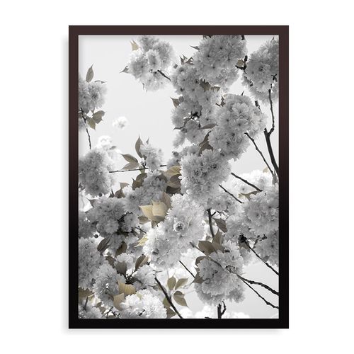Quadro White Spring Blossoms - 44 x 61,4 cm - Preto