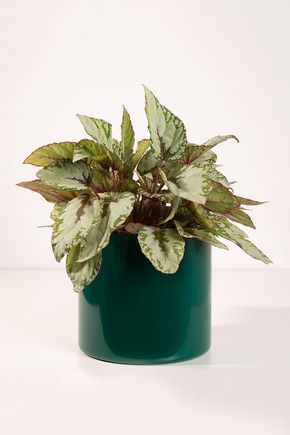 Vaso-cachepot-aluminio-verde-m