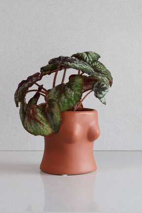 Vaso-busto-moreno