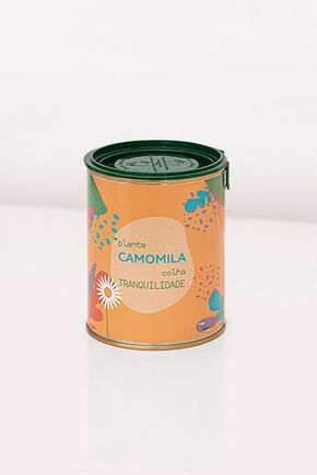 Camomila-do-bem