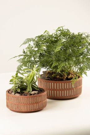 Conjunto-de-2-Vasos-Terracota