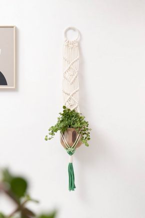 Pendente-macrame-para-cachepot-verde
