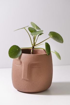 Vaso-cachepot--rosto-terracota