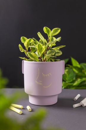 Vaso-fosco-lilas-m