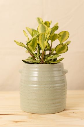 Vaso-glaze-verde-m