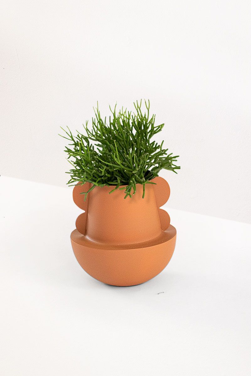 Vaso Abas
